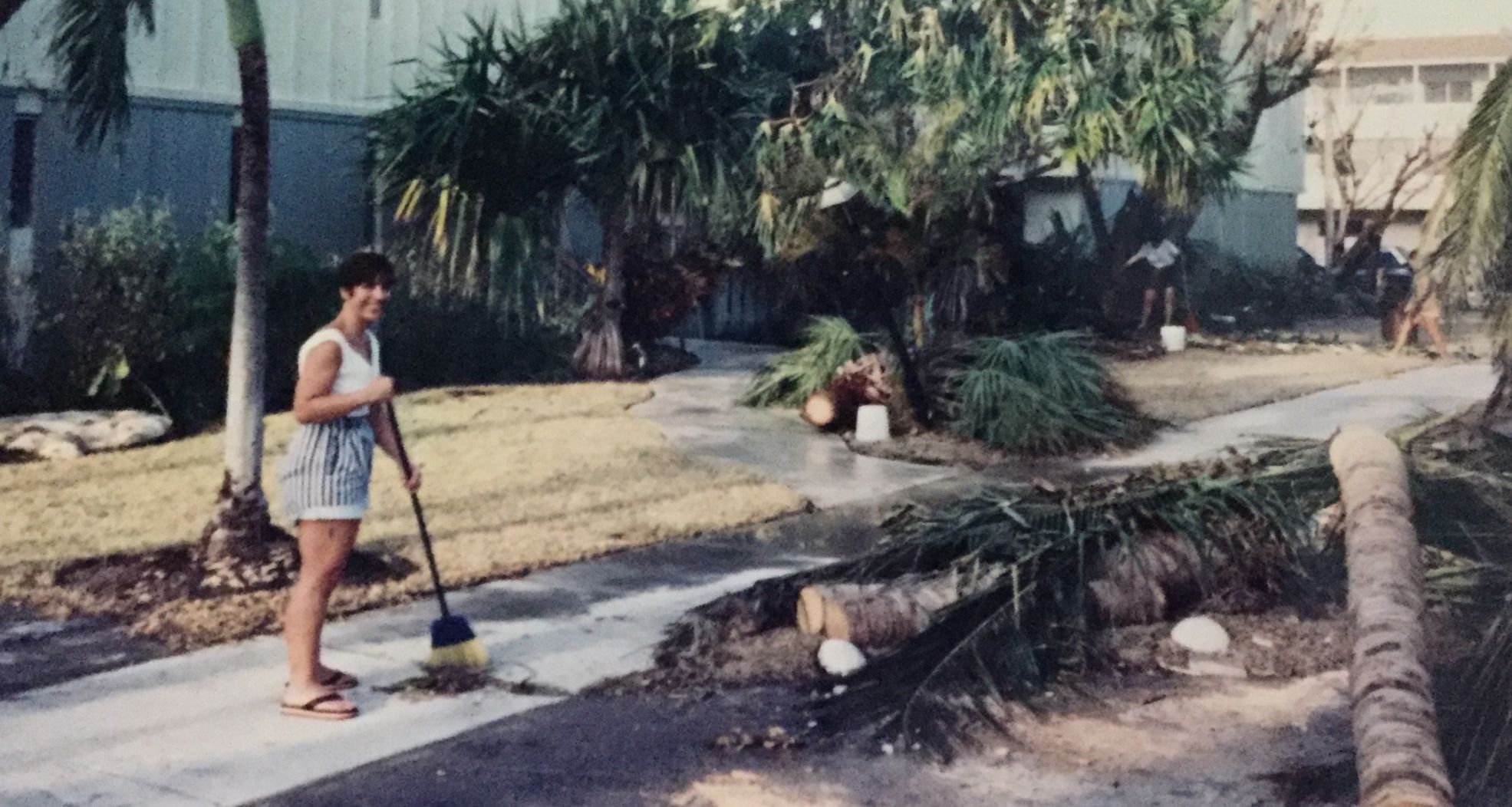 The clean up commences days after Andrew hit KB